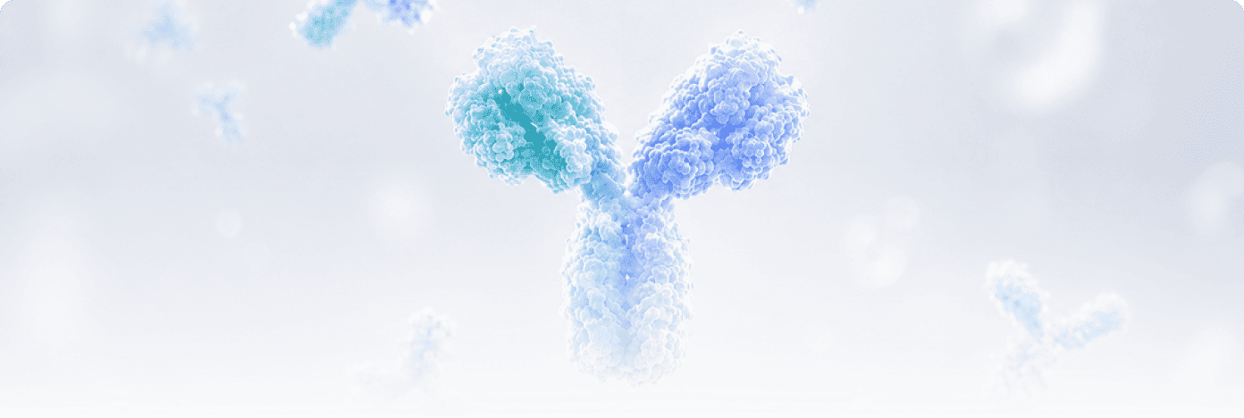 Bispecific Antibody Target Proteins